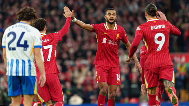 无与伦比的 无与伦比的